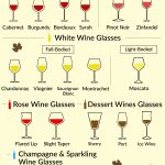 Types of Wine Glasses